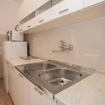 Garden View In For 2 - 4 Persons 포레치